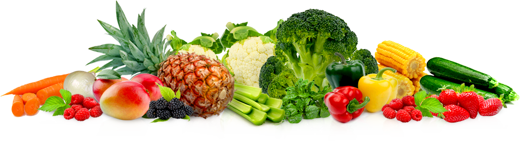 alimentos